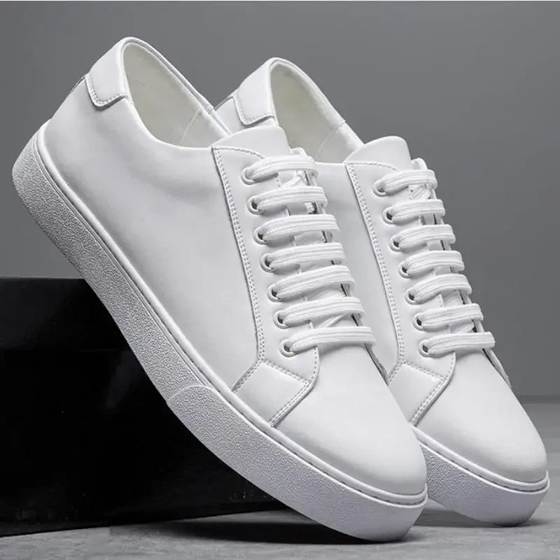 David herresneakers i læder – Elegante sko i ægte læder med komfortabel sål og tidløst design